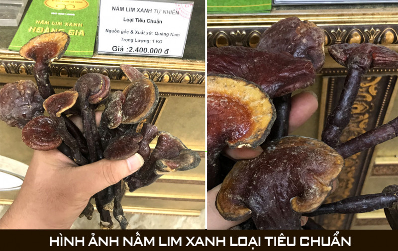 Nấm lim xanh Hoàng Gia