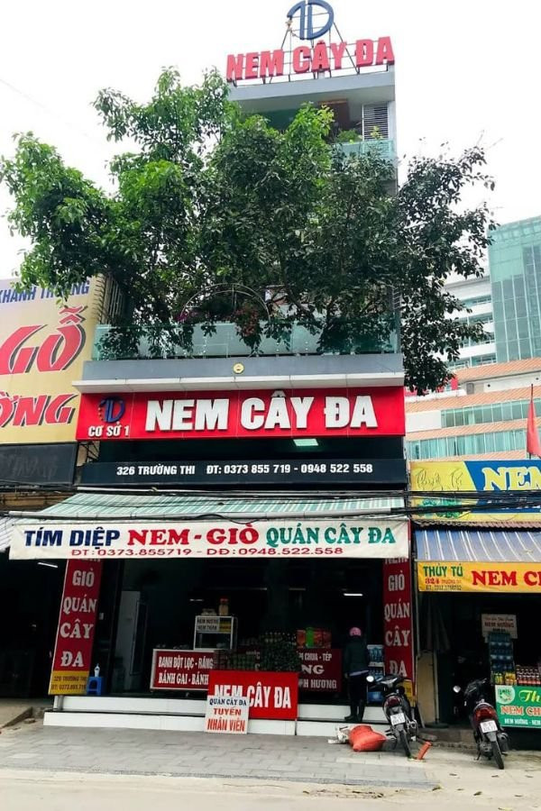 Nem Cây Đa