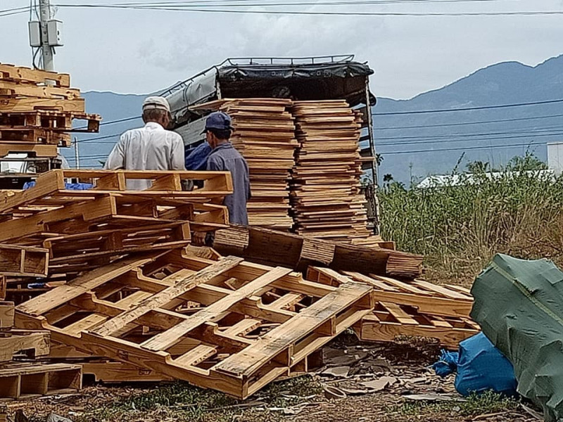 Xưởng sản xuất và kho Pallet gỗ Gạo Nam
