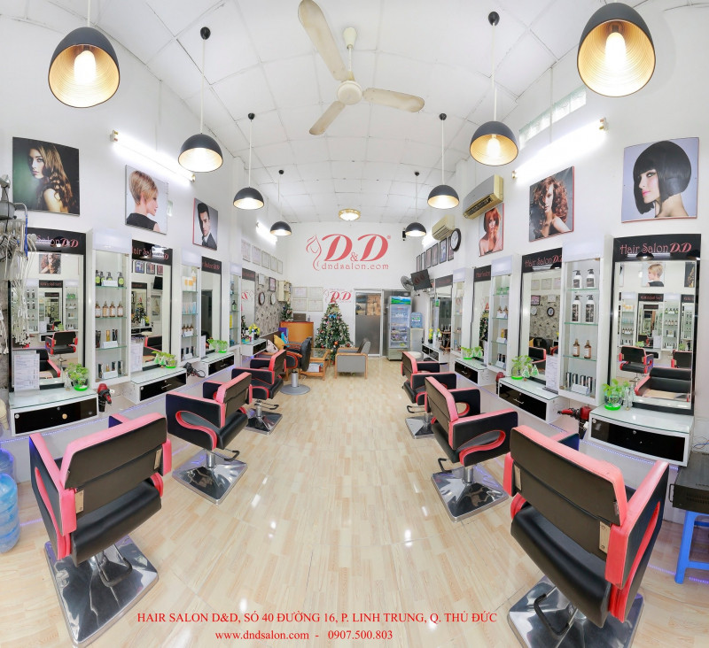 Hair Salon D&D