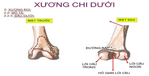 Bệnh viện Đa khoa Đông Đô