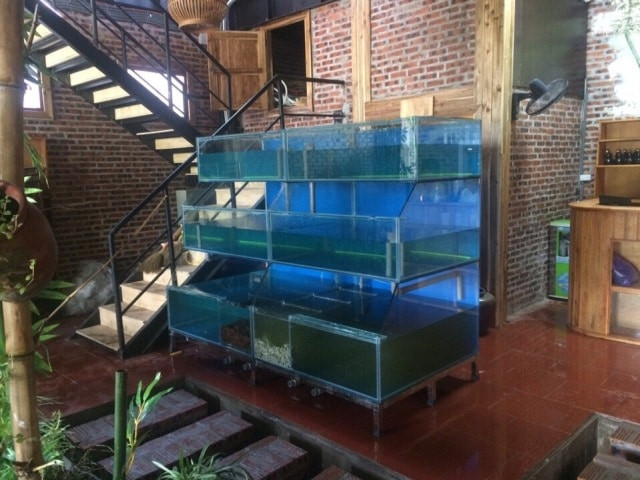 Thái Hoà Aquarium