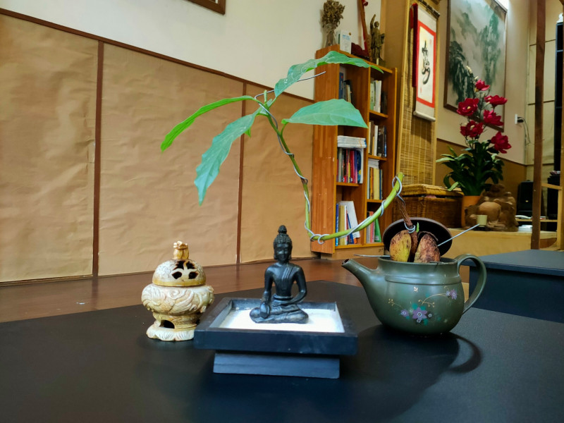 Zen Tea An Yên
