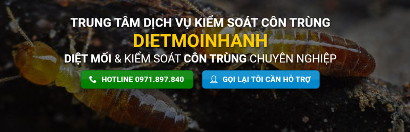 Công ty TNHH Diệt Mối Nhanh