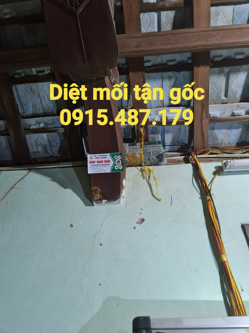 Công ty TNHH Trừ Mối và Côn trùng Phúc Hưng