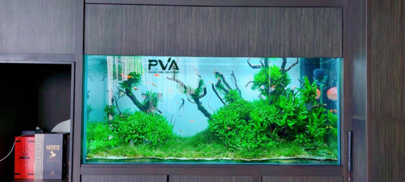 Phan Vinh Aquarium
