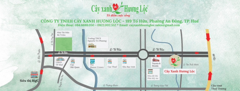 Cây xanh Hương Lộc