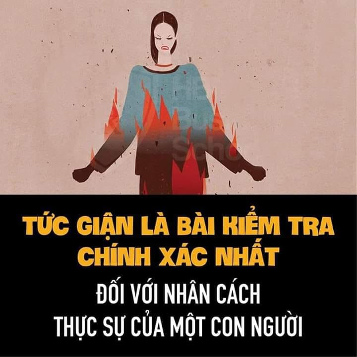 Đoạn văn nghị luận số 7