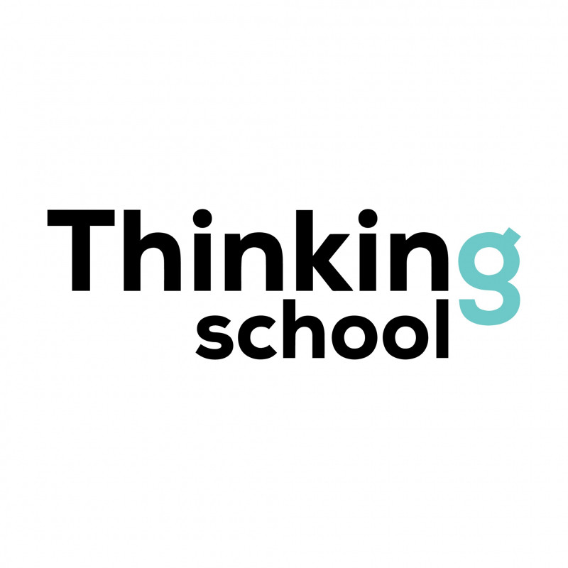 Thinking School