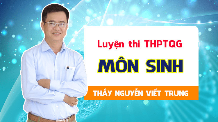 Thầy Nguyễn Viết Trung