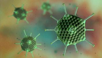 luu-y-quan-trong-nhat-ve-benh-do-adenovirus