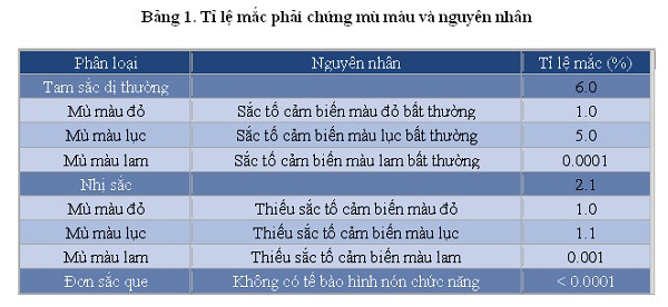 Tỉ lệ mắc phải chứng mù màu và nguyên nhân