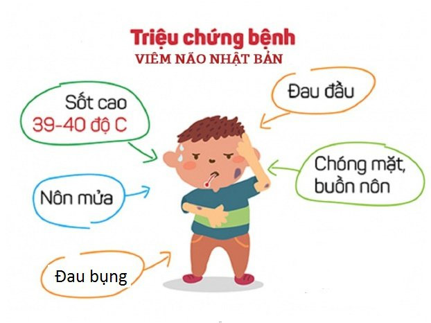 Triệu chứng của bệnh viêm não Nhật Bản