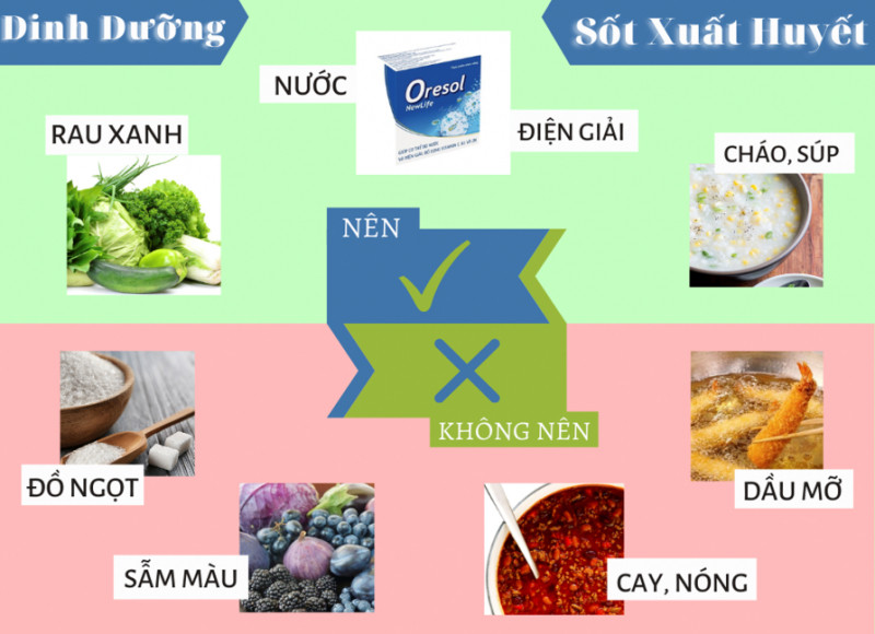 Chế độ dinh dưỡng cho bệnh nhân sốt xuất huyết