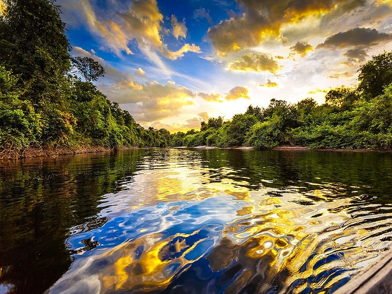 Sông Amazon