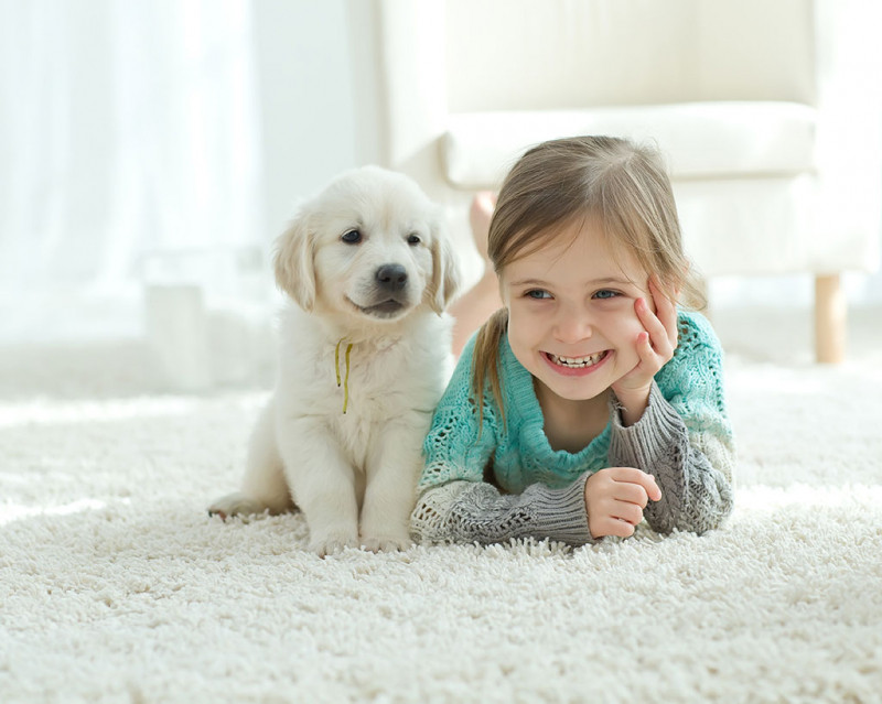 Cho phép trẻ nhỏ nuôi thú cưng trong nhà