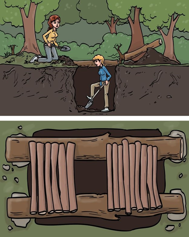 Cách dựng nhà vệ sinh khi ở trong rừng