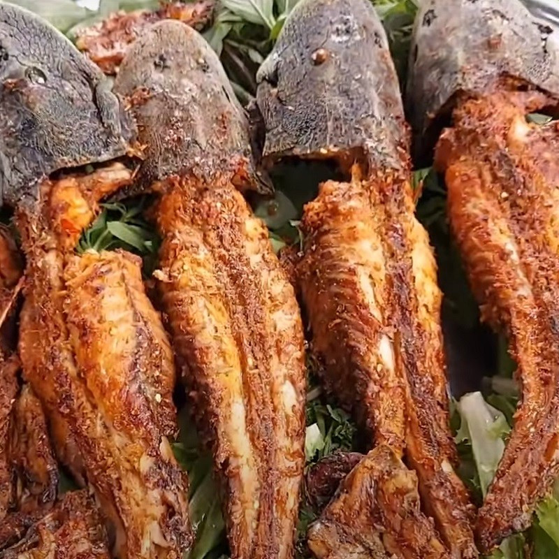 Cá lau kiếng nướng sa tế