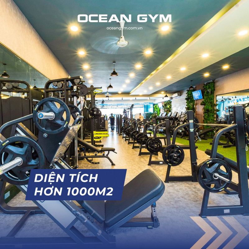Ocean Gym