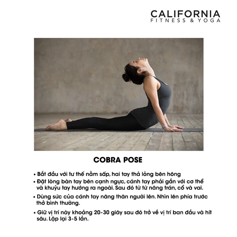 California Fitness & Yoga - Ảnh minh hoạ