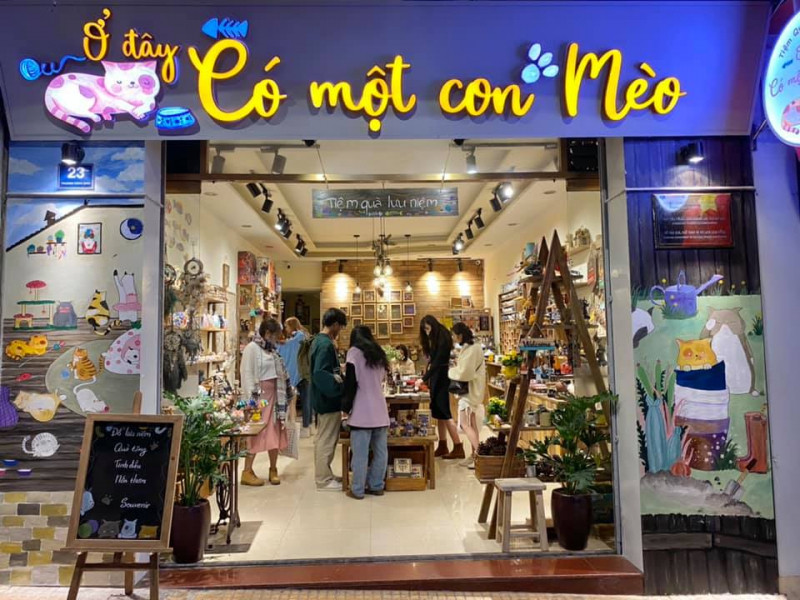 Ở Đây Có Một Con Mèo