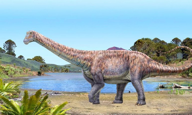 Phát hiện loài khủng long cổ dài mới