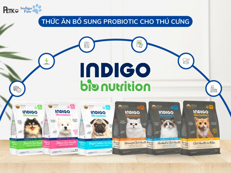Indigo Bio Nutrition