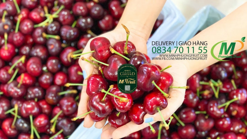 Thương hiệu trái cây nhập khẩu Minh Phương Fruits