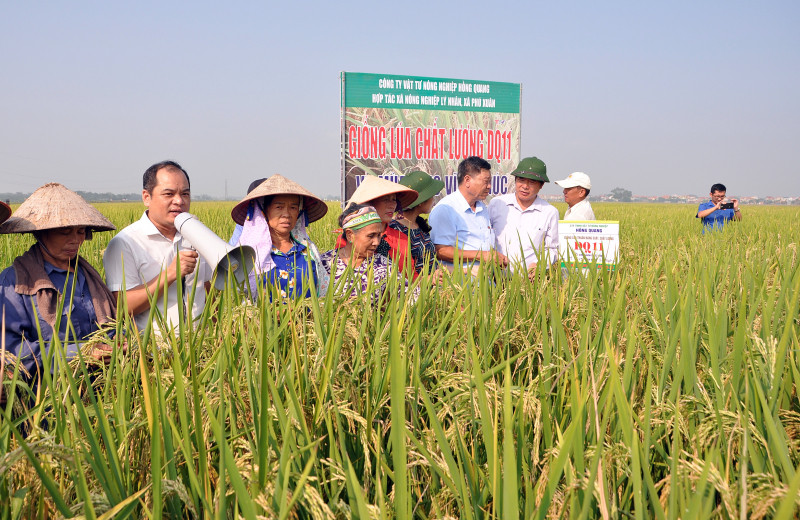 Lãnh đạo thành phố và huyện Thới Lai thăm Hợp tác xã Nông nghiệp Đại Lợi trên địa bàn huyện Thới Lai.