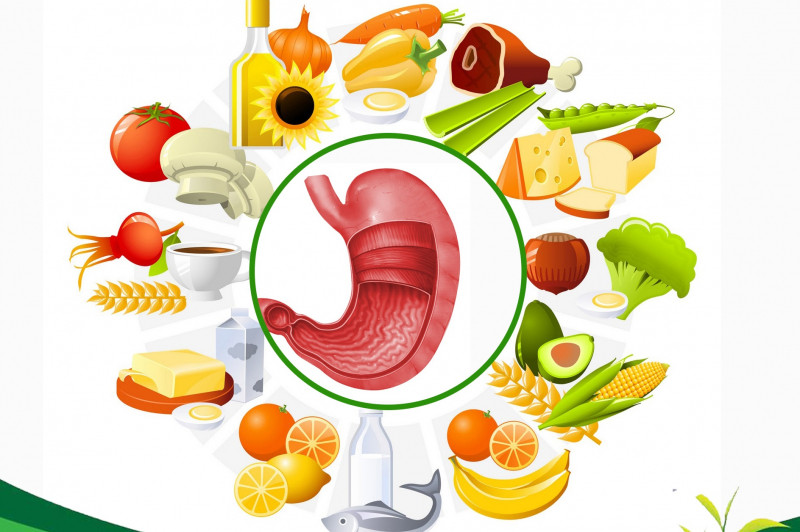 Bổ sung các thực phẩm có lợi cho dạ dày - tá tràng