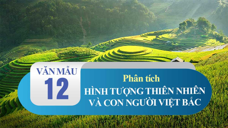 Bài tham khảo số 7