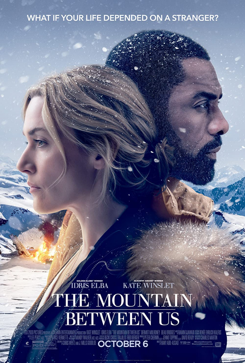 The mountain bettween us (2017)